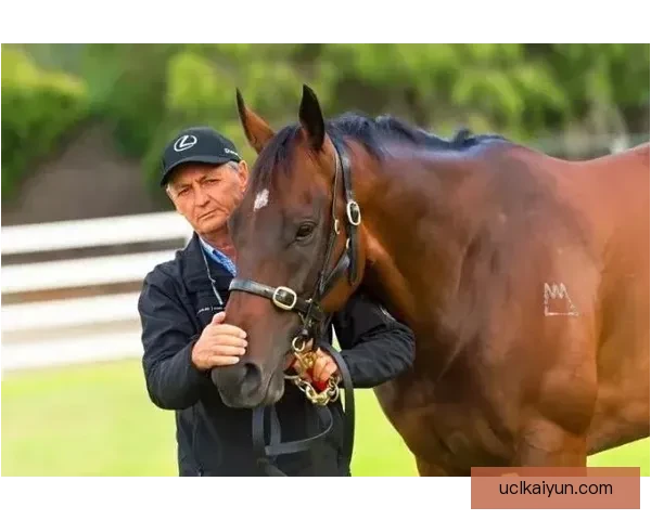 欧洲U21锦标赛冠军归属揭晓，赛事表现引发广泛关注