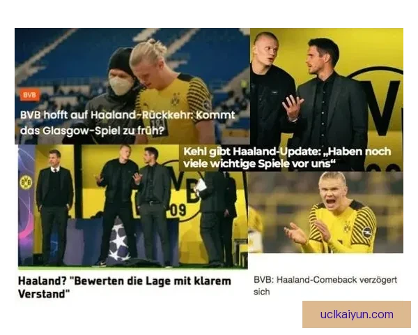 德甲转会整体盘点：各队引援策略与实力变化分析